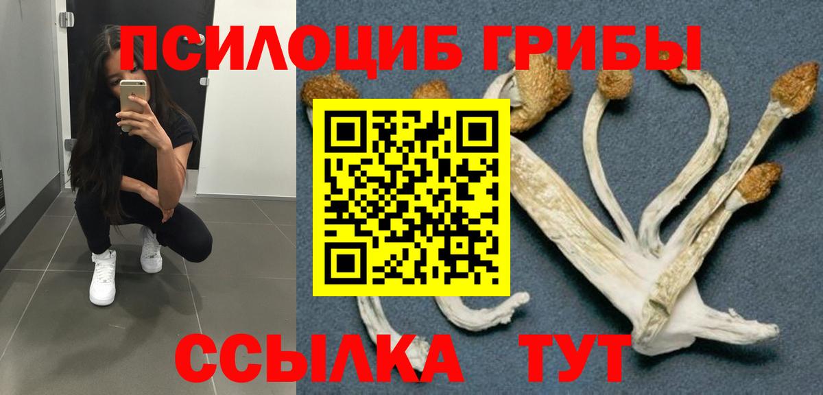Псилоцибиновые грибы мухоморы  что такое наркотик  Томск  Псилоцибиновые грибы Cubensis  Вход с VPN 